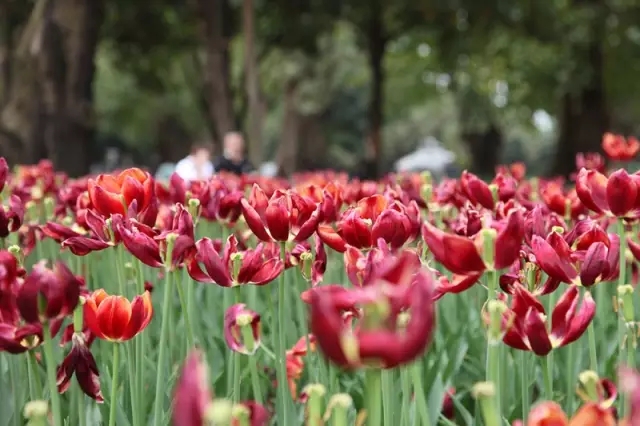 640.webp (13).jpg CQ9电子·(中国)唯一官方网站